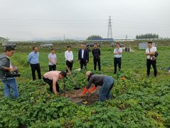 桂林永福：特色农