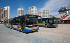 金手杖国际养老公